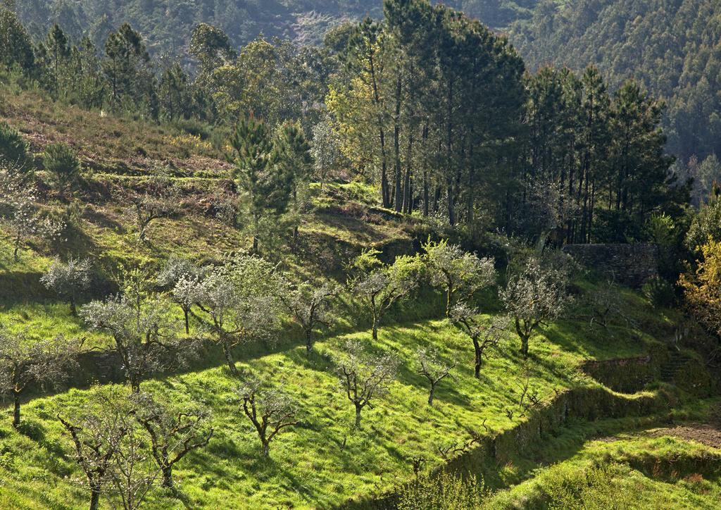 12 Meses Naturalmente Cerdeira Экстерьер фото